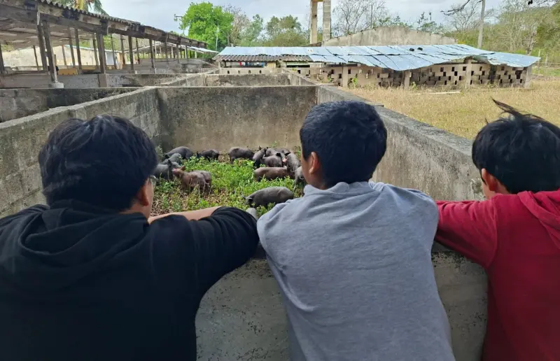 En marcha plan piloto del CBTA