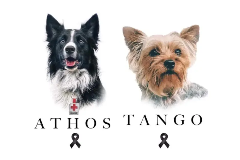 Desecha SCJN sentencia contra asesino de Athos y Tango