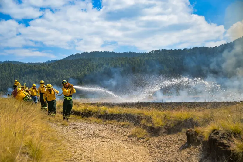 Advierte Edomex riesgo de incendios forestales durante Semana Santa