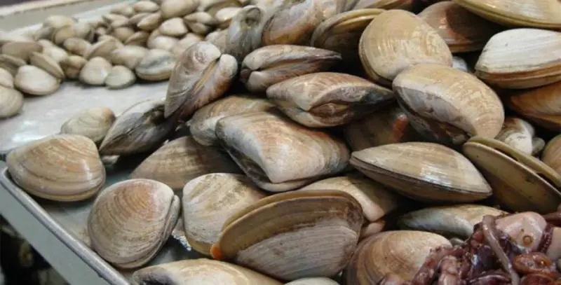 Decretan cierre sanitario en Escuinapa por toxina en moluscos