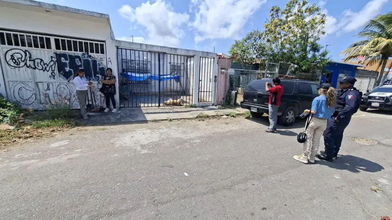 Investigan deceso de canino en Geo Pinos 1; no hay indicios de violencia