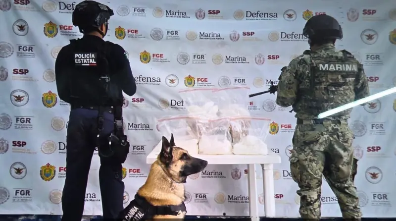 Detiene SSP a 49 personas y decomisa 342 dosis de droga en 40 municipios