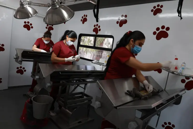 Ponen en marcha Tecámac consultorio móvil para esterilizar mascotas