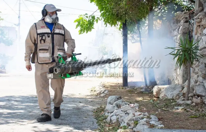 Alertan de alto riesgo de dengue y chikungunya en 15 municipios de Yucatán; Mérida encabeza la lista