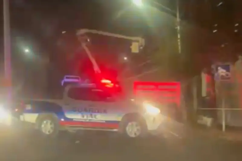 Caída de árbol provoca daños y cierre vial en municipio de Querétaro