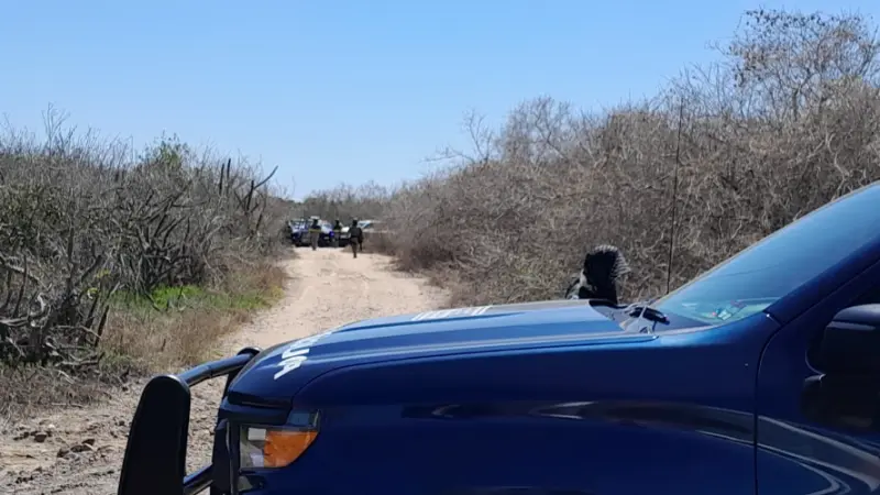 Hallan vecinos 3 cadáveres en Mazatlán; uno estaba colgado de un árbol