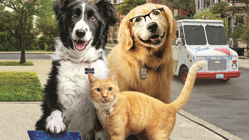 Promueven en Guadalajara adiestramiento positivo y adopción responsable