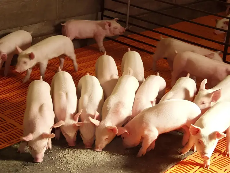 Opormex llama a diálogo abierto