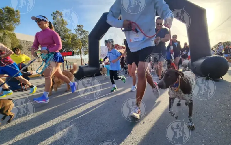 Realizan 3er Carrera con Mascotas en Juárez