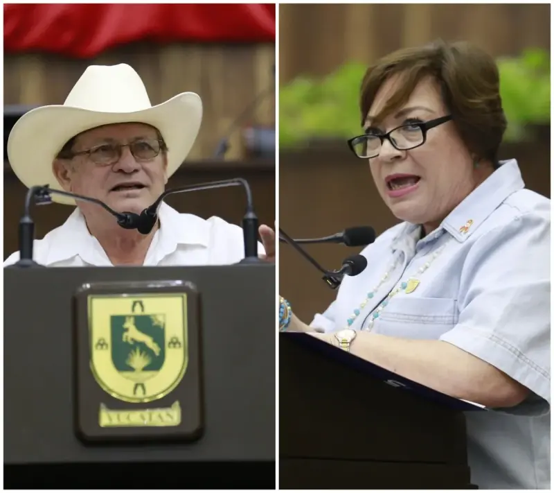 Debate por gusano barrenador en el Congreso de Yucatán: Morena pide no sacar “raja política” de una muerte