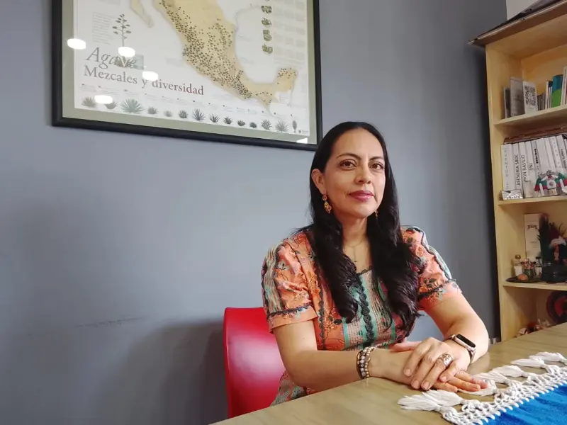 Oaxaca, diamante del turismo de reuniones, requiere más cuartos de lujo