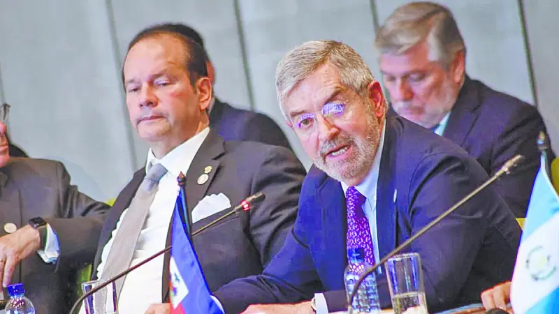 De la Fuente, un canciller que viaja poco al exterior