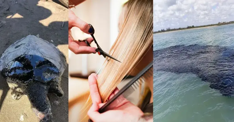 Derrame de petróleo en el Golfo: el cabello puede ayudar; así puedes donarlo en Mérida