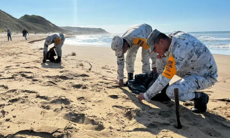 Refuerza Guardia Nacional limpieza de playa en Veracruz