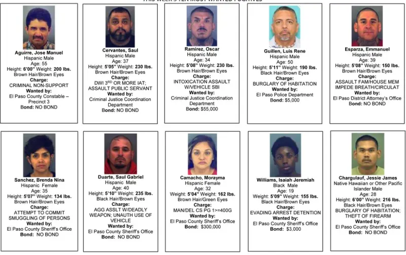 Los más buscados de la semana