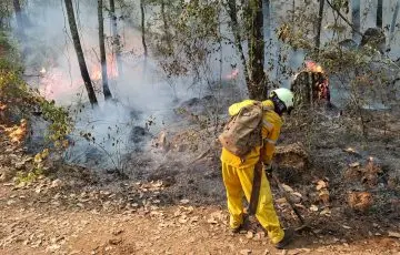Incendio en Área Natural Protegida de Tzitzio, controlado al 100%: Secma