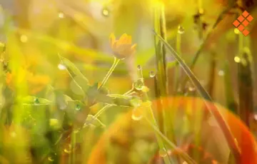 ¡Llegó la primavera con 27 grados para Morelia!