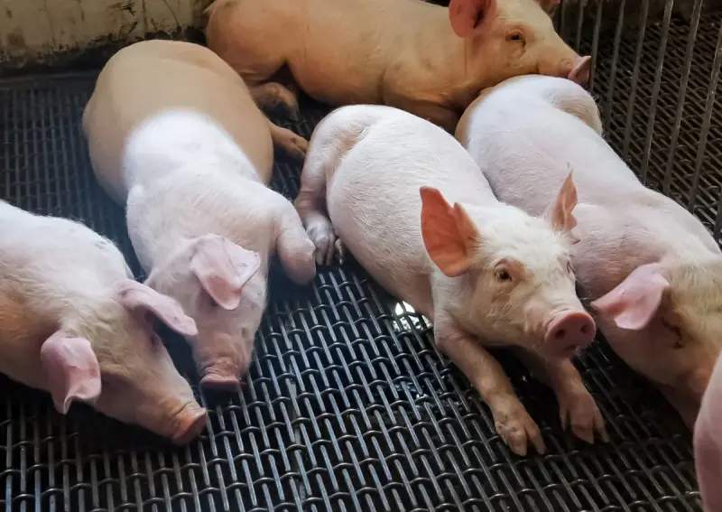 Señalamientos en duda: La CNA y MPEA dan respuesta a críticas expuestas