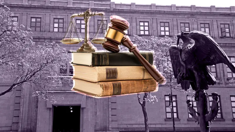 Producción de tesis en la Suprema Corte cae 89% tras reforma judicial