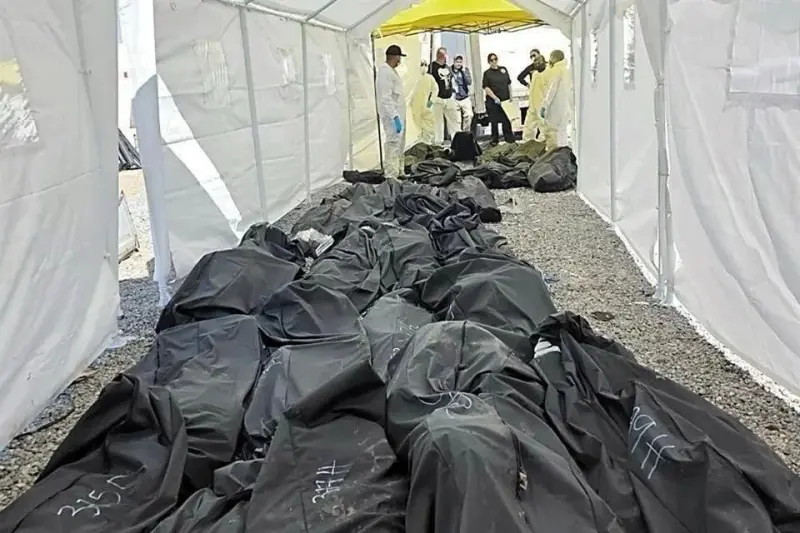 Han identificado 214 cuerpos en caso Plenitud