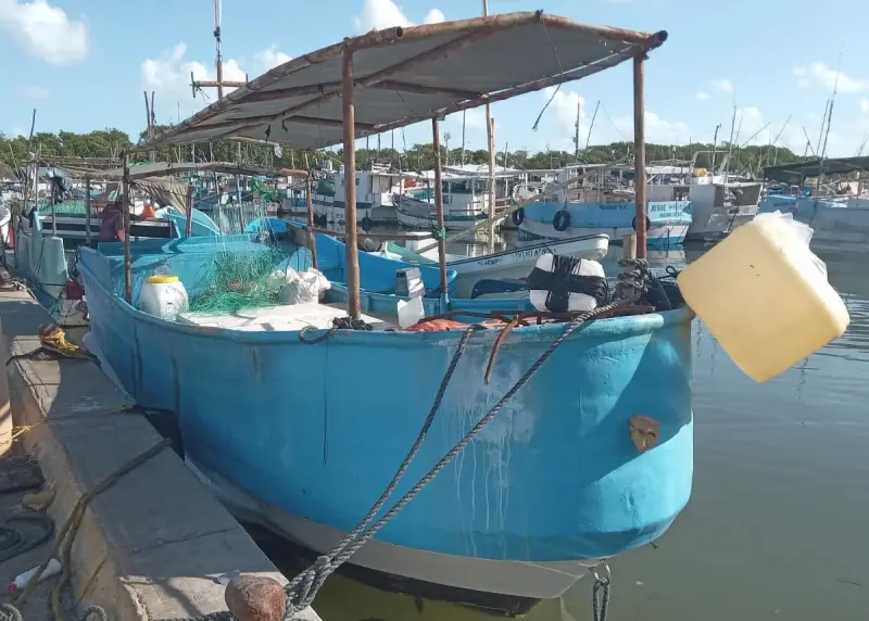 Respaldan operativos “contra lo ilegal” en barcos pesqueros en Progreso