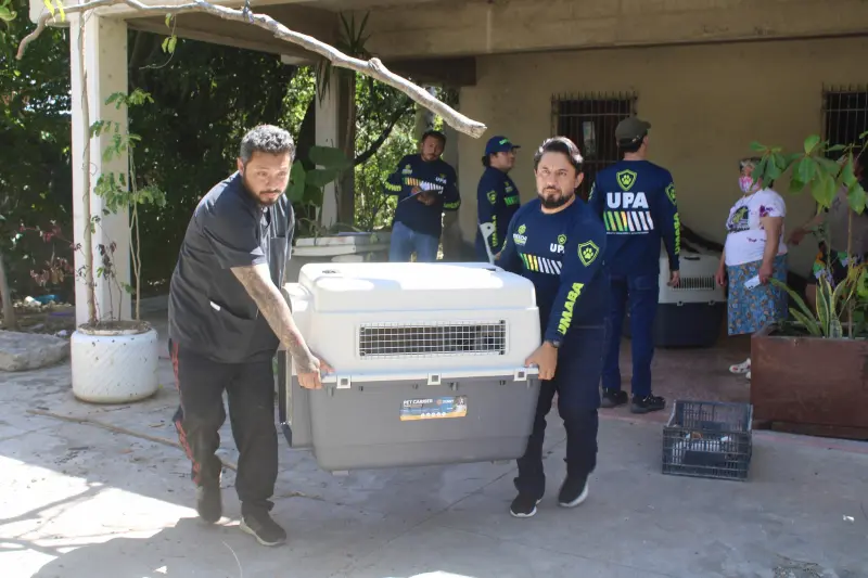 Rescatan animales en condiciones inadecuadas en la Canek