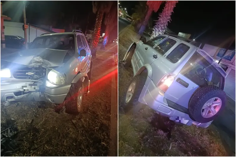 Conductor ebrio termina contra palmera en avenida Aguascalientes