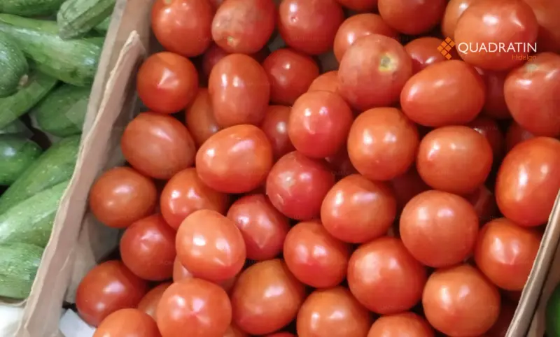 Sube inflación a 4.63% en marzo; precio del jitomate se dispara