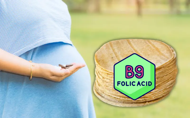 Nueva ley en California exige agregar ácido fólico a tortillas; la medida busca prevenir defectos congénitos en bebés latinos