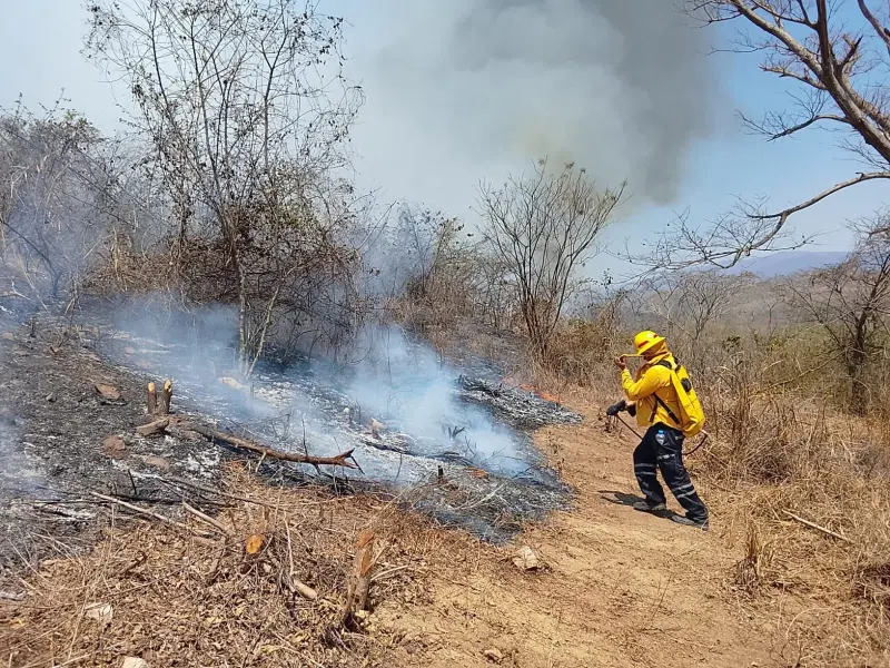 Controlados 3 de 4 incendios en Cabo Corrientes y Tomatlán