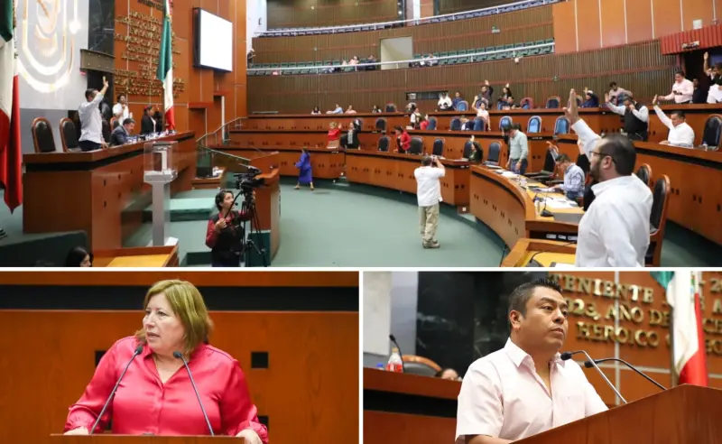 Pide Congreso de Guerrero intensificar difusión sobre virus Coxsackie