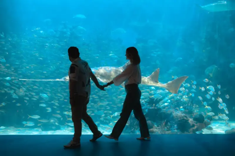 Invita Aquarium a disfrutar experiencia única en Semana Santa