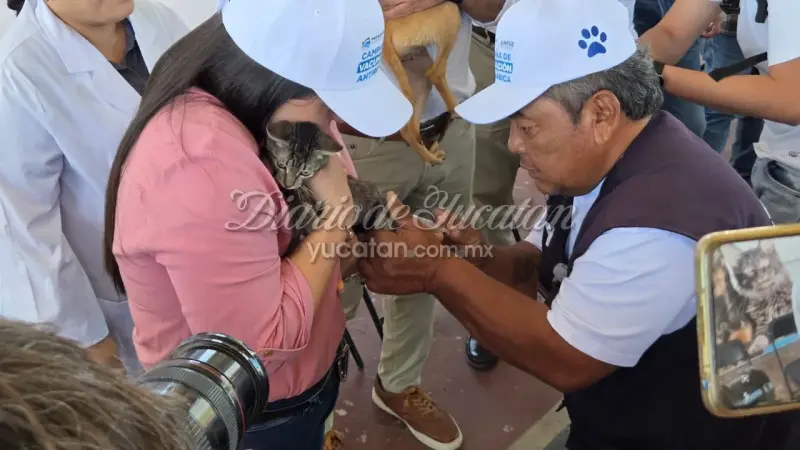 Progreso arranca vacunación antirrábica; meta es inmunizar a 15 mil mascotas