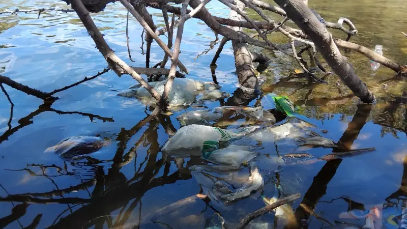 Basura invade el estero del Yugo y amenaza su ecosistema