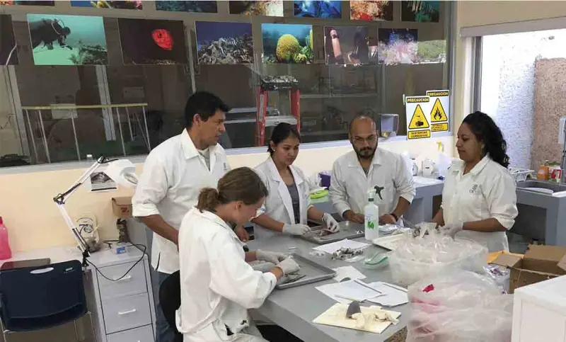 Celebran 22° aniversario de la Unidad de Ciencias del Agua del CICY