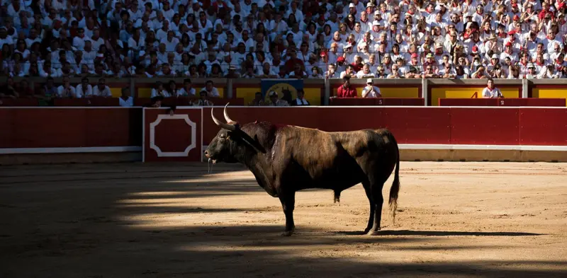 Sí habrá corridas de toros en San Juan del Río