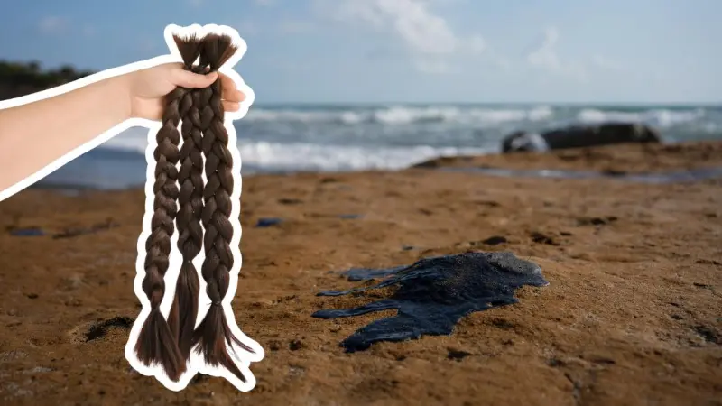 Piden donar cabello humano para limpiar playas mexicanas tras derrame de petróleo