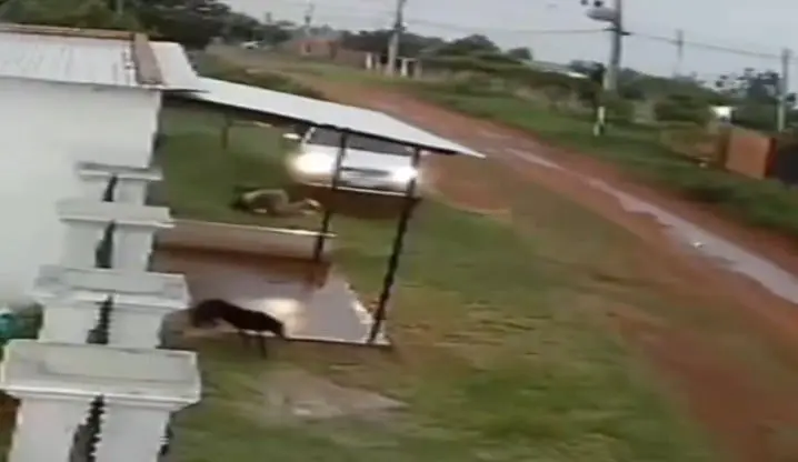 Video.- Hombre arrolla a su pareja y la ataca a puñetazos