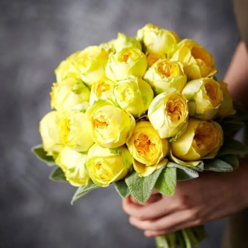 ¿Por qué se regalan flores amarillas hoy, 21 de marzo?