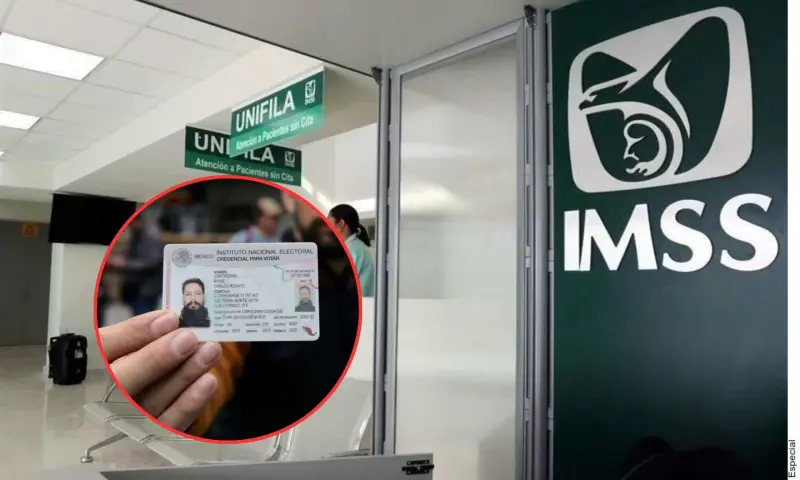 Trámites del IMSS que aún puedes realizar con INE y CURP tradicional ante la llegada del nuevo registro biométrico obligatorio