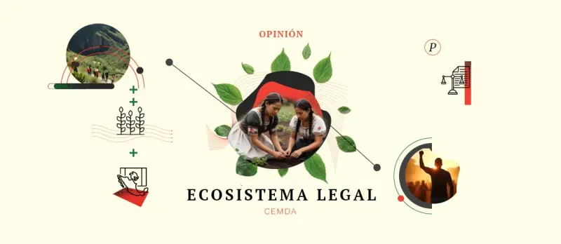 El alto costo de la degradación ambiental en México