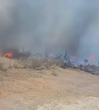 Se sale de control incendio forestal en Tolimán