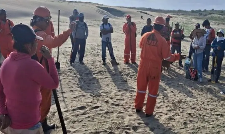 Colabora Pemex en labores de limpieza en playas de Veracruz