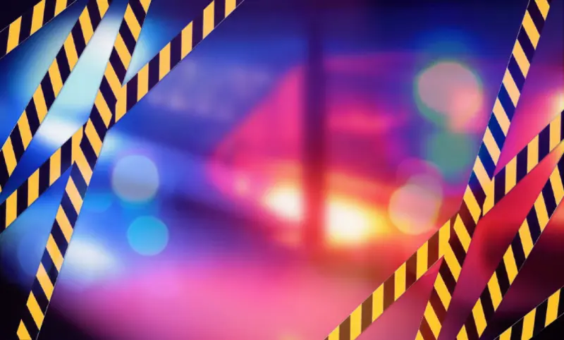 Hallan 7 cuerpos desmembrados y decapitados en la carretera Tlapa-Olinalá