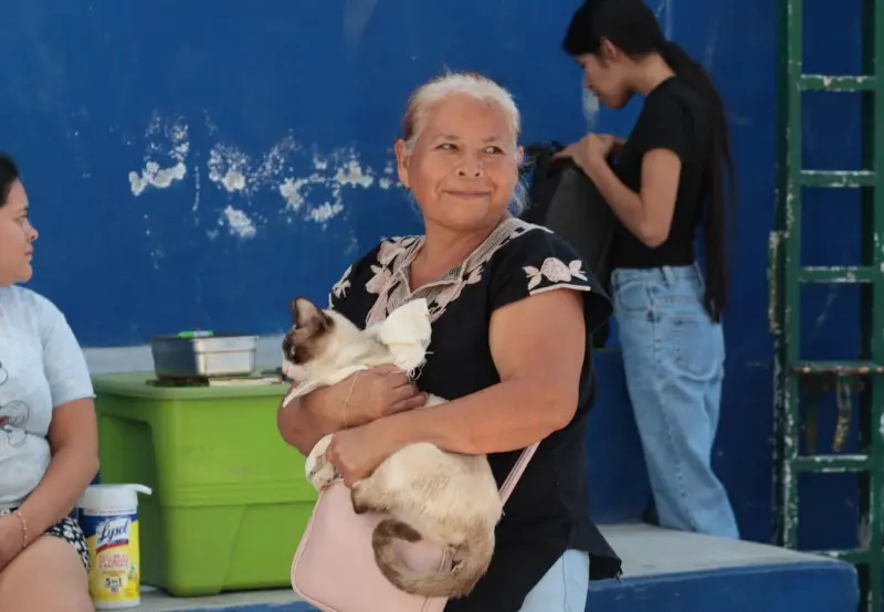 Realizan campaña de esterilización en Cabo Corrientes