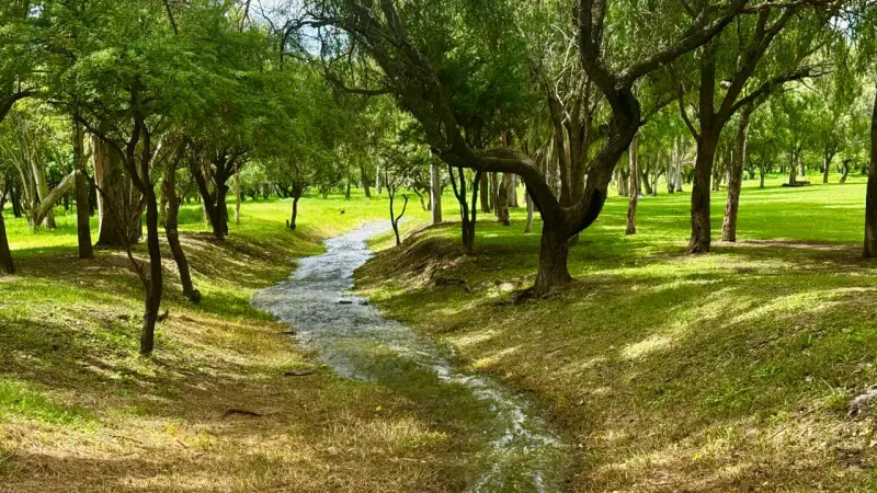 Acerca Gobierno estatal trámites con kiosco digital en Tangamanga II