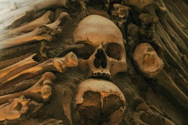 Localizan en Países Bajos restos pertenecientes al mosquetero D'Artagnan