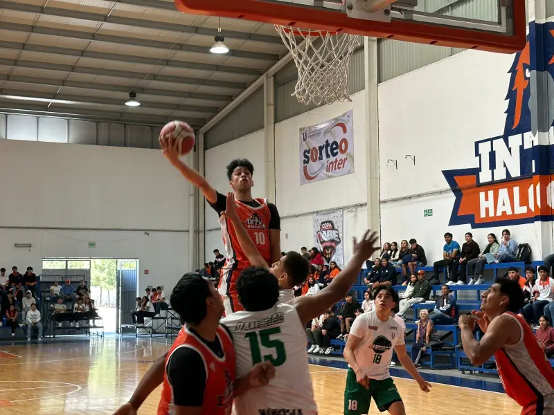 Suman los Halcones 2 victorias en el Nacional de Voleibol de Sala