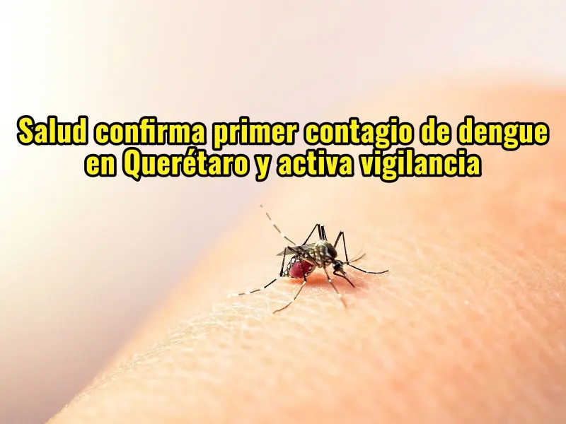 Salud confirma primer contagio de dengue en Querétaro y activa vigilancia