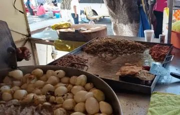 Alista Acuitzio su Casa del Taco para 2027